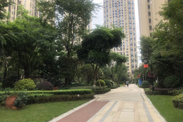 鲁能城(一期),槐树店一路300号-成都鲁能城(一期)二手房,租房-成都