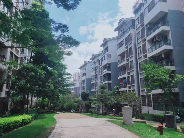 南宁兴宁东沟岭金源橘子郡金源橘子郡 电梯房 家电齐全 采光好出租