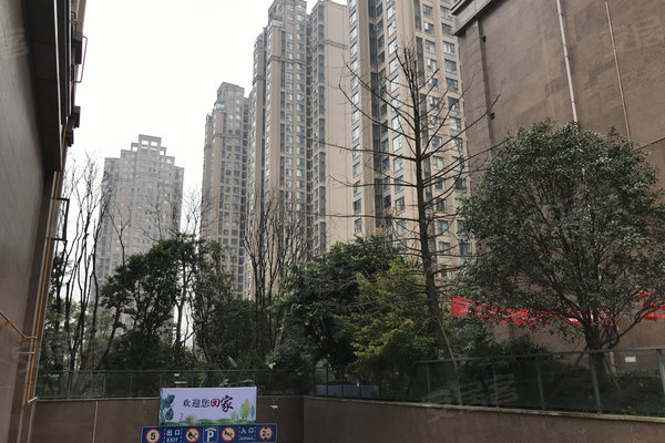 南湖逸家人口_南湖逸家楼栋分布图(3)