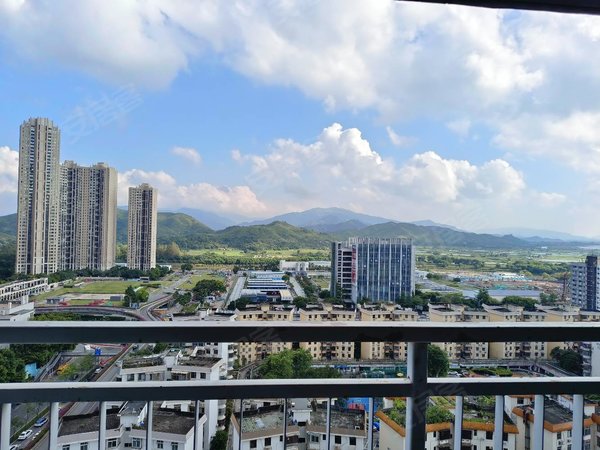 深圳福田上步御河堤(城滨雅苑)福田华强南御河堤装修豪华的一房一厅