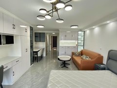 邵阳双清金百汇商业街随时看房青龙王府 1室1厅1卫 南北通透 配套齐全 精装修出租房源真实图片