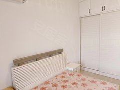 宁阳新苑 电梯单身公寓 拎包入住 850元一个月