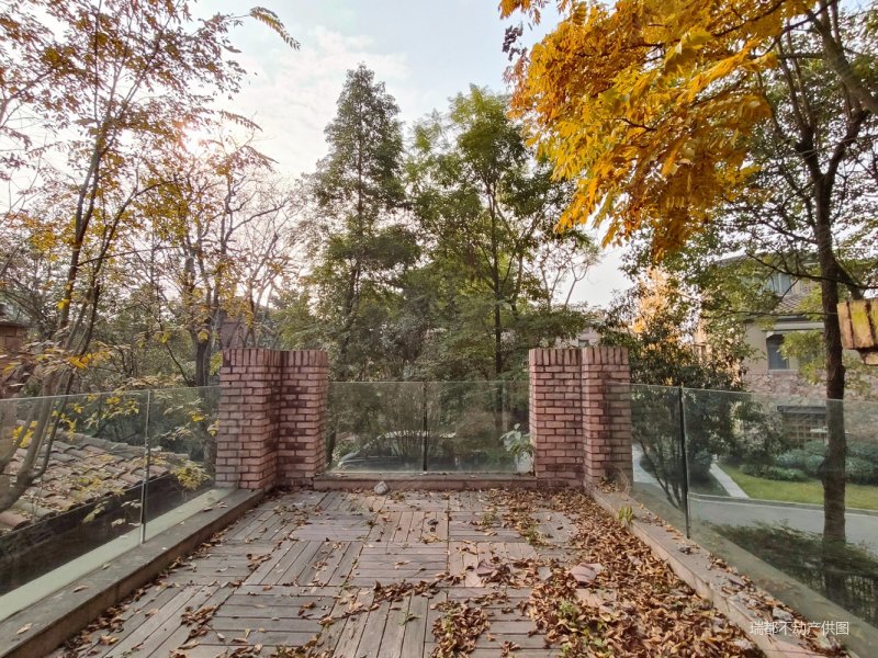 未住人,麓山国际黑钻山庄二手房,4200万,5室3厅,4卫,574平米-成都安居