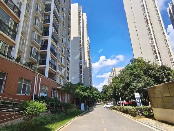 昆明呈贡大学城天润康园北区天润康园北区 4室2厅2卫 电梯房 141平