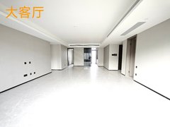 长沙星沙松雅湖新的新的新的！私梯入户！吾悦广场旁边！到松雅湖贼近！出租房源真实图片