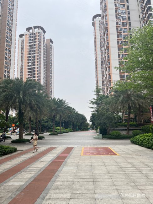 骋望珺玺3室2厅2卫109.17㎡南北92万