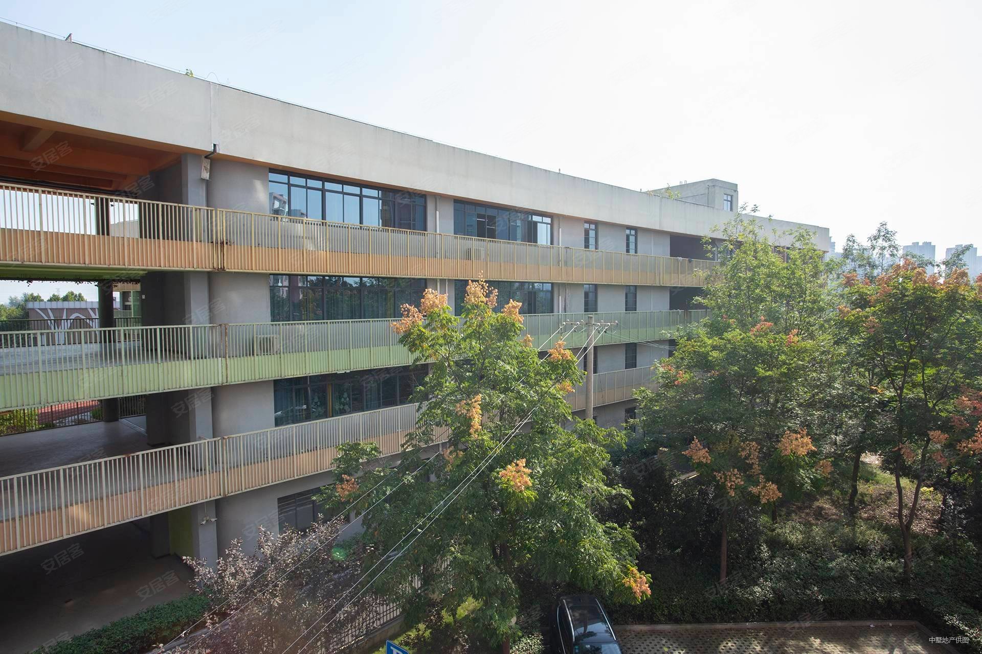 油坊新城3室2厅1卫81㎡南北65万