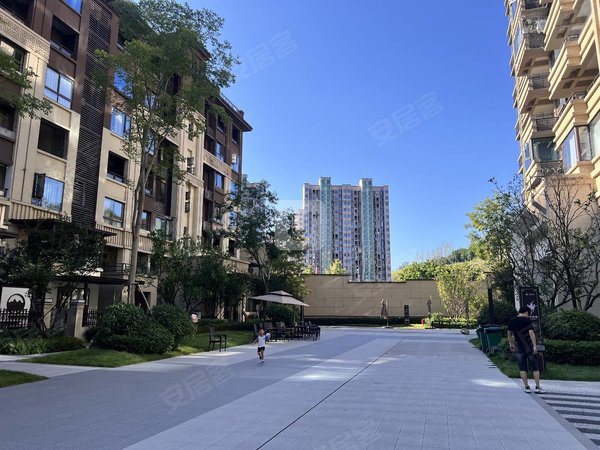 重庆渝北农业园区蓝光公园悦湖(一期)精装小高层,装修保持九成新,带大