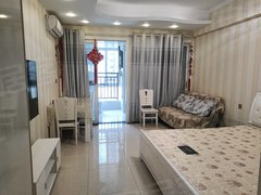 武汉黄陂盘龙城天纵城(商住楼) 1室1厅1卫 电梯房 精装修46平米出租房源真实图片