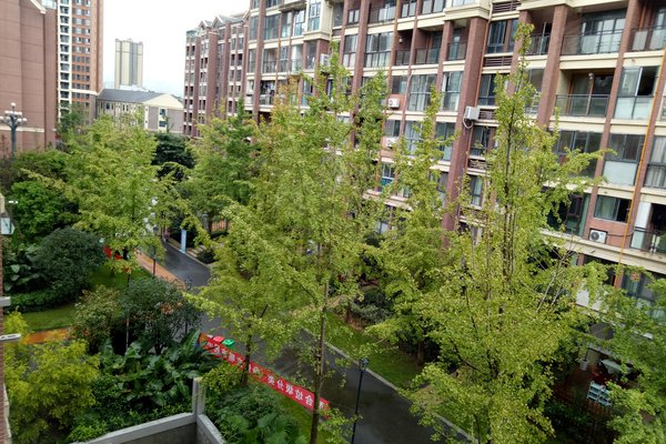 典雅花溪半岛洋房区周边房产中介经纪人评价-重庆安居客