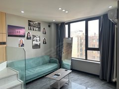 个人 房东直签 2号线刘庄地铁口 精装两室 全屋定制 实拍
