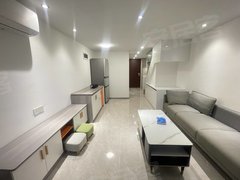 东莞黄江天虹融创公园首府(商住楼) 2室1厅1卫  电梯房 精装修出租房源真实图片