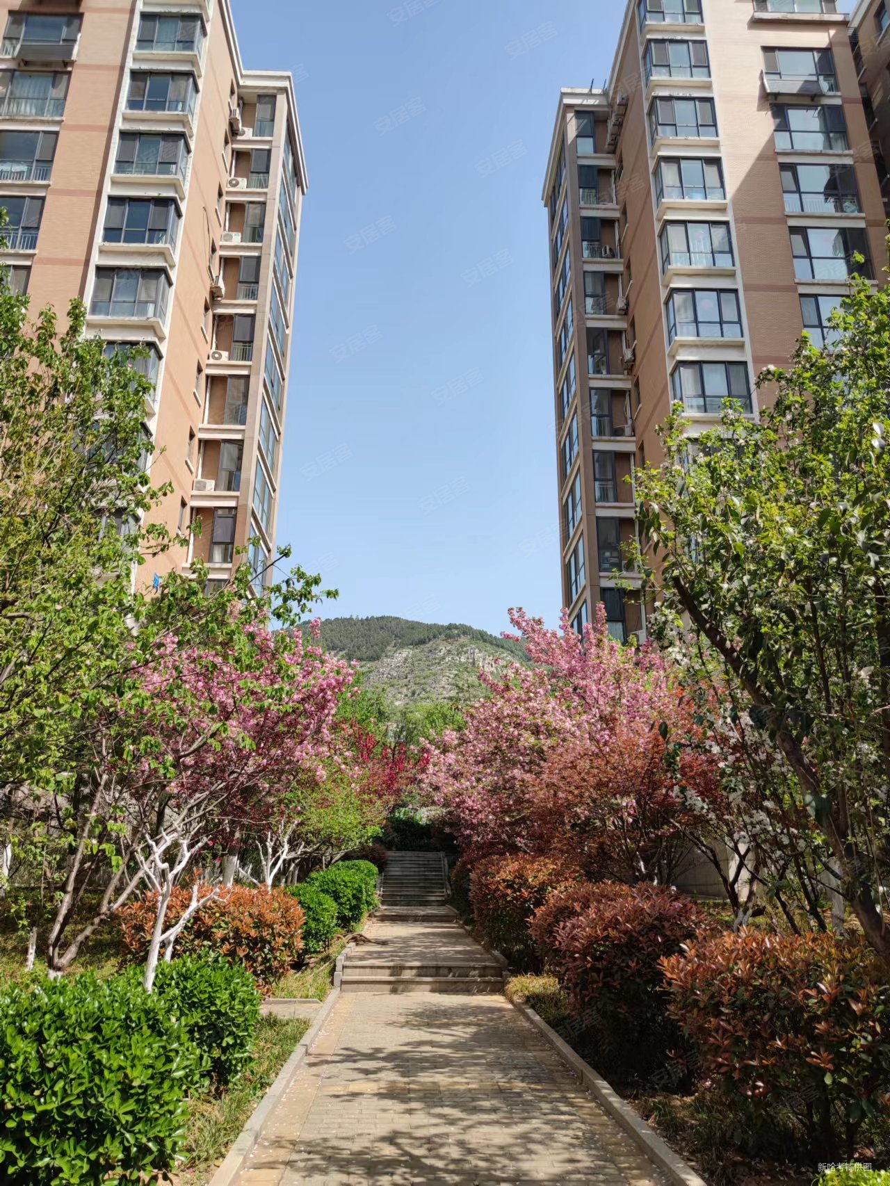 东山小区4室2厅2卫159.45㎡南620万