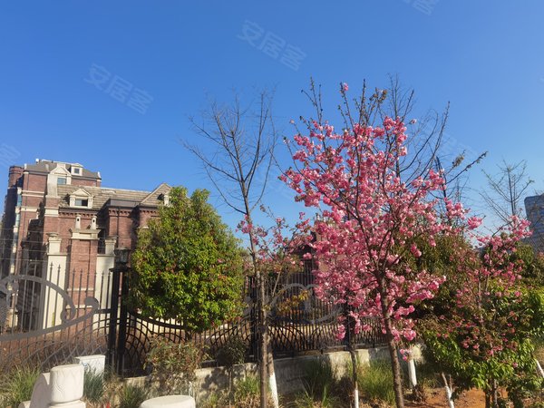 【多图】银海白沙郡,白沙河租房,带部分家具家电 精装电梯洋房 带车位