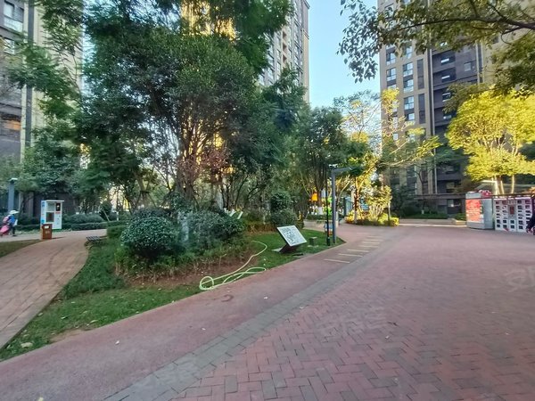 【多图】河畔俊园阅海园,区政府租房,都铎城邦 河畔俊园 带车位 豪华