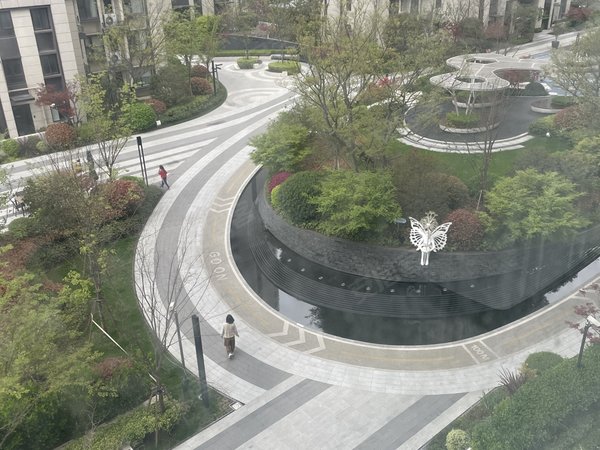 上海奉贤南桥龙湖天曜旁边就是龙湖天街 近地铁 精装修三房 小区环境