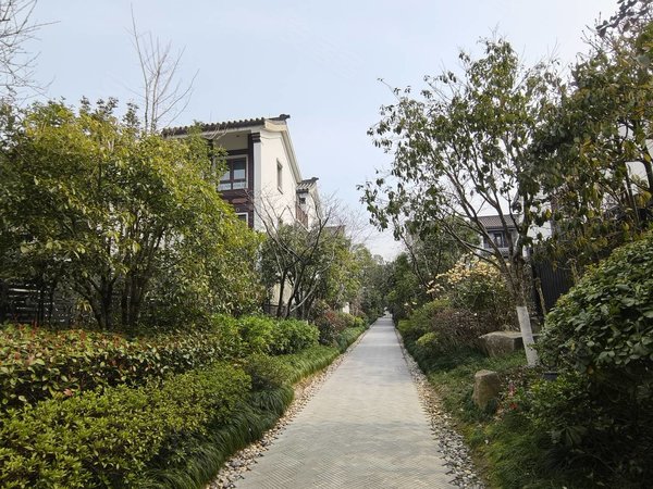 杭州西湖西溪华元和庄华元和庄,西溪湿地南,精装中式合院,房东自住