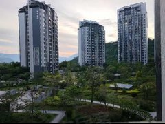 攀枝花东区东区城区德铭菩提苑 3室2厅1卫出租房源真实图片
