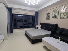 银川兴庆新一中隆鑫苑 新华街旁 精装修一室公寓 配置齐全 拎包入住 随时看出租房源真实图片