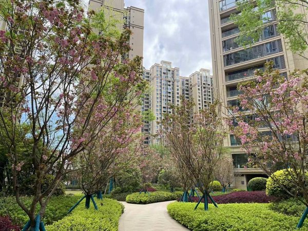 资阳雁江正兴街多弗绿城诚园多弗绿城诚园 2室1厅1卫出租房源真实图片