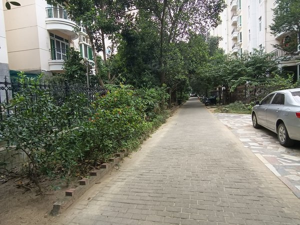 湛江赤坎金沙湾金沙湾(三期)金沙湾小区,3200元,带前后花园,可办公