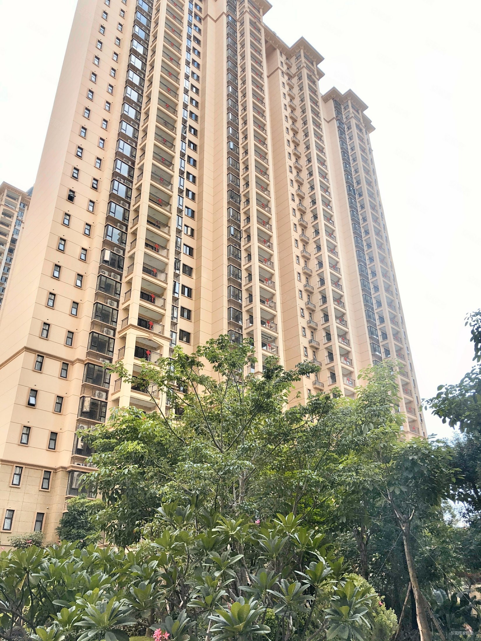 56平米-东莞安居客