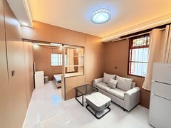 苏州平江桃花坞石路 山塘街 独门独户 精装 一室一厅 押一付一 朝南出租房源真实图片