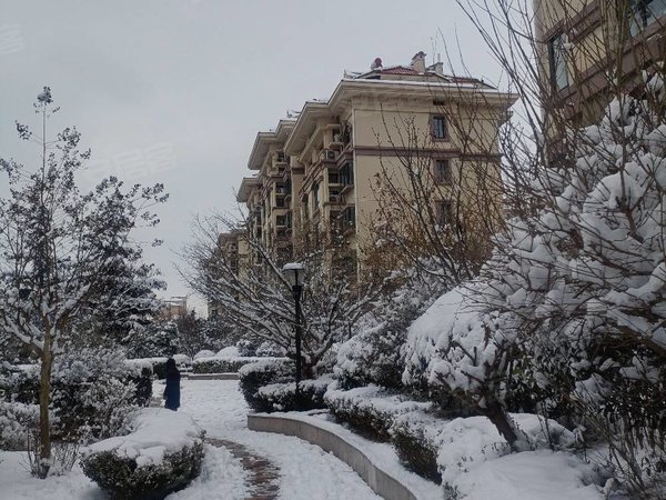 仲村东小区豪装两室,城阳租房-青岛58安居客