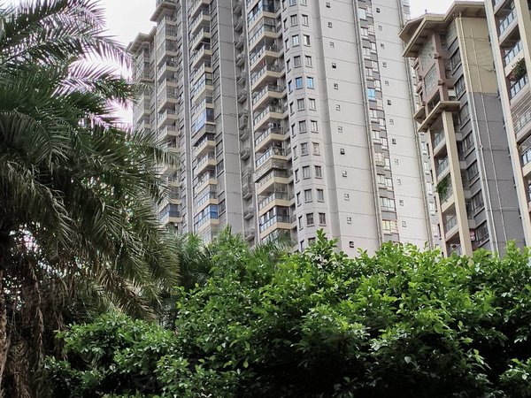 南宁西乡塘新阳台湾街宜兰湾实价一千二台湾街电梯两房低价出租  水电