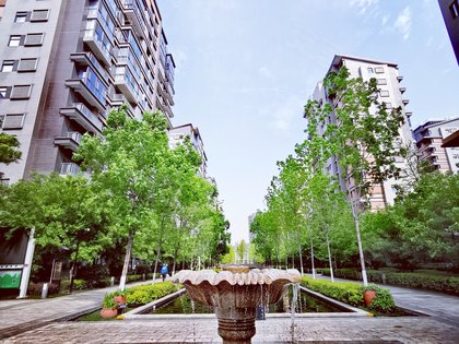 金地湖城大境天第