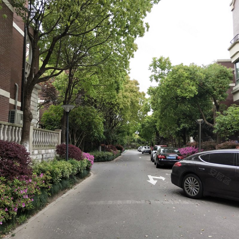 【尼德兰北岸, 尼德兰北岸小区详情,房价走势,房源,业主论坛】- 上海