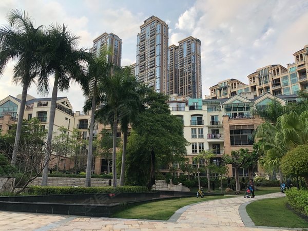 深圳福田香蜜湖熙园香蜜湖熙园精装三房,高层南北通,看园林景观出租