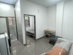 深圳龙岗龙岗中心城龙园地铁站附近 精装一房一厅一卫 拎包入住押一付一出租房源真实图片