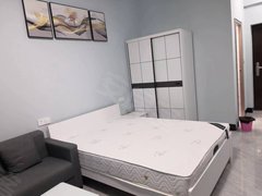 百色平果新兴街大学城一品天下精装单间出租出租房源真实图片