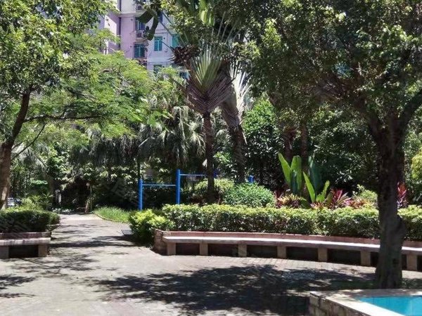 深圳罗湖布心鹿鸣园鹿鸣园 时尚邀您共享~出租房源真实图片