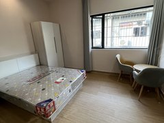 深圳福田岗厦岗厦地铁站 电梯精装 可养宠物 拎包入住出租房源真实图片