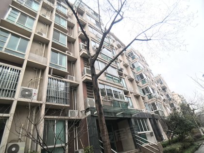 大华颐和华城公寓住宅