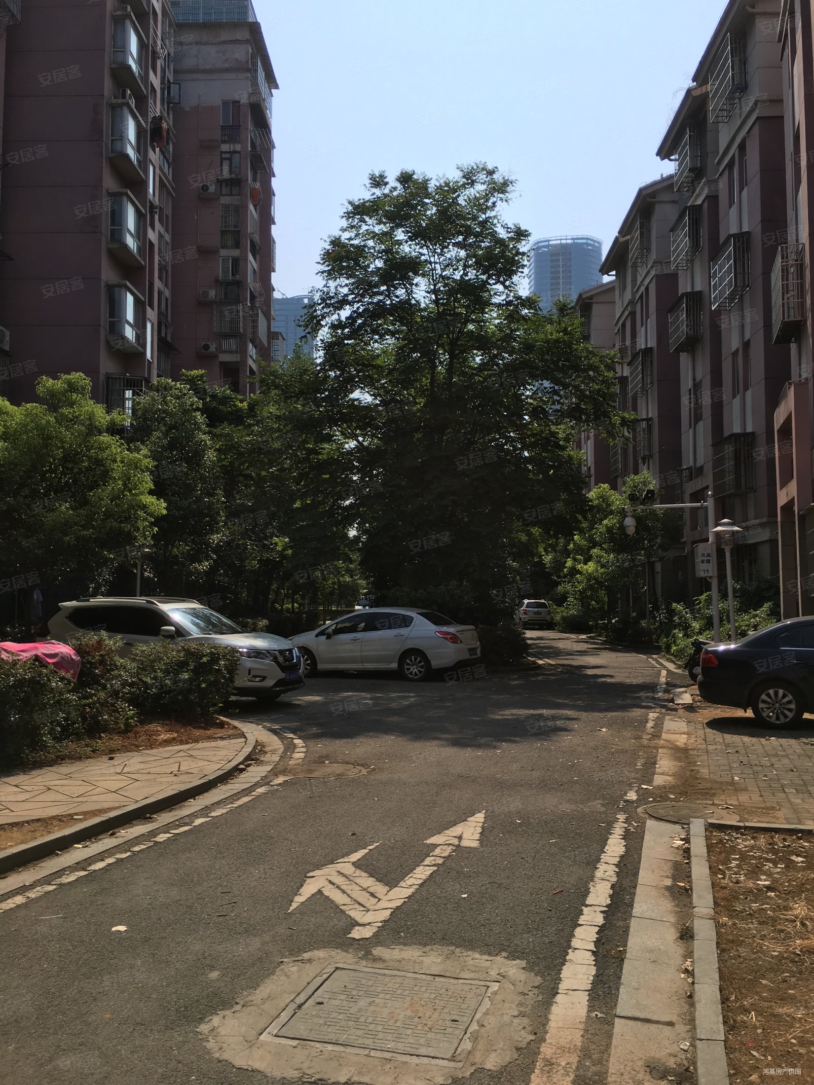 急售地铁口凤凰家园南北通透电梯两房采光视野无挡送家电