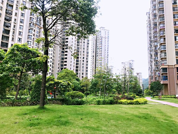 【多图】中惠香樟绿洲,东城广场租房,中惠香樟绿洲 1室1厅1卫 51平 南