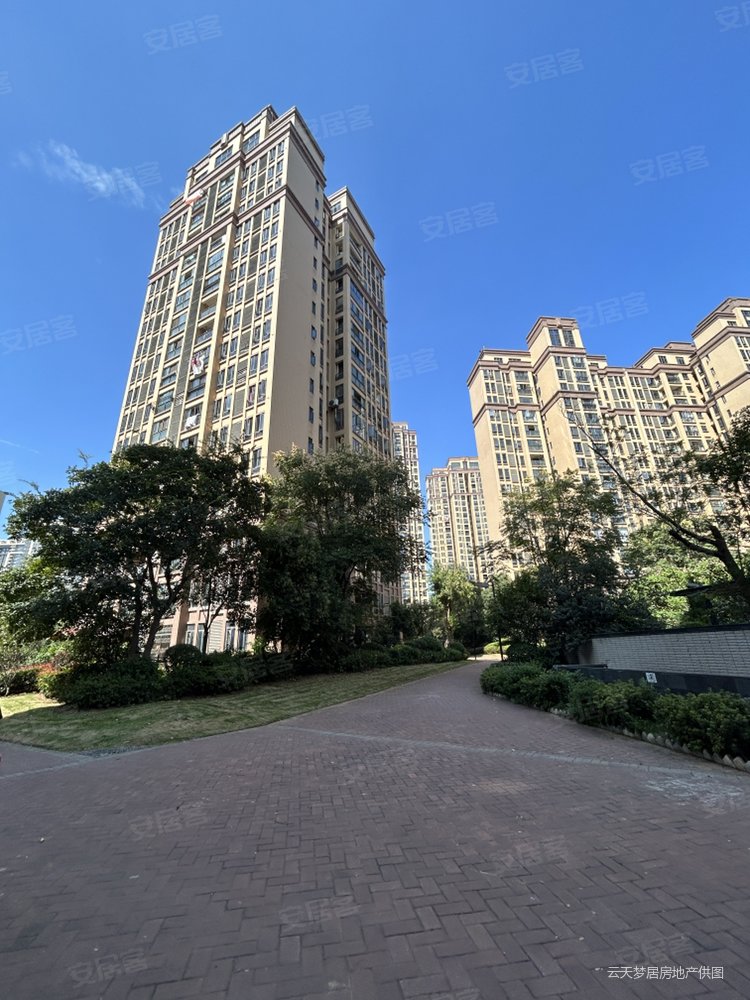 南北通透两房高层老证少税,枫桦苇岸(二期)二手房,50万,2室1厅,1卫