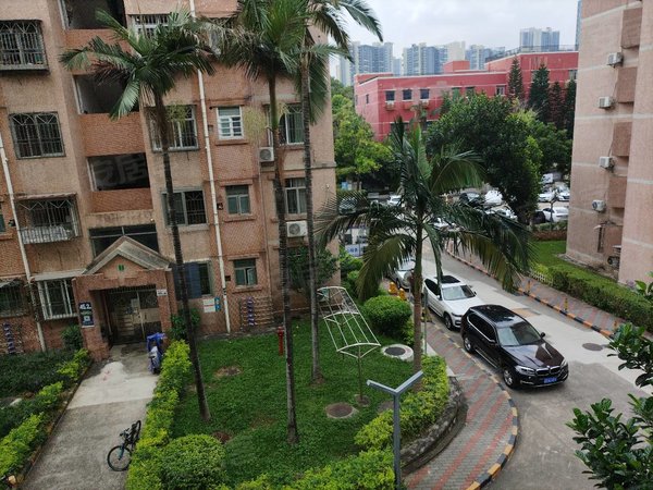 深圳南山桃源村桃源村(一期)桃源村三楼,两房,经典户型,居家舒适出租