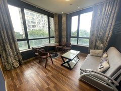 上海青浦重固摩登边套 一室一厅 精装修 随时看房 拎包入住出租房源真实图片