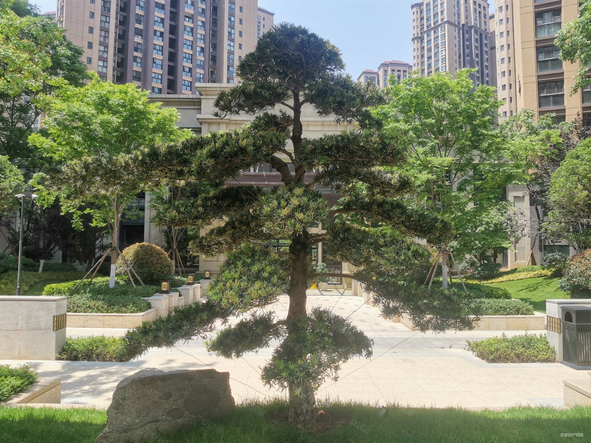 彩云城星湾俊园 大3房 客厅宽敞 楼道明亮 房东急售,俊发星湾俊园二手