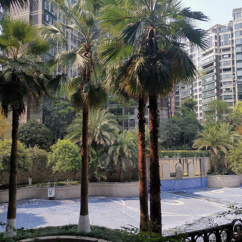 【神仙树大院, 神仙树大院小区详情,房价走势,房源,业主论坛】- 成都