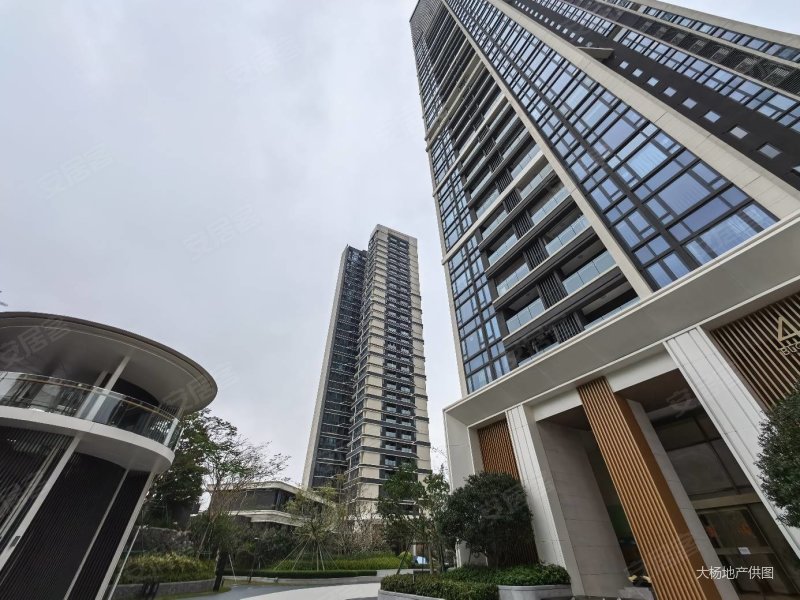 来电有惊喜湾仔豪宅现楼澳门夜景直达香港同城横琴后花园