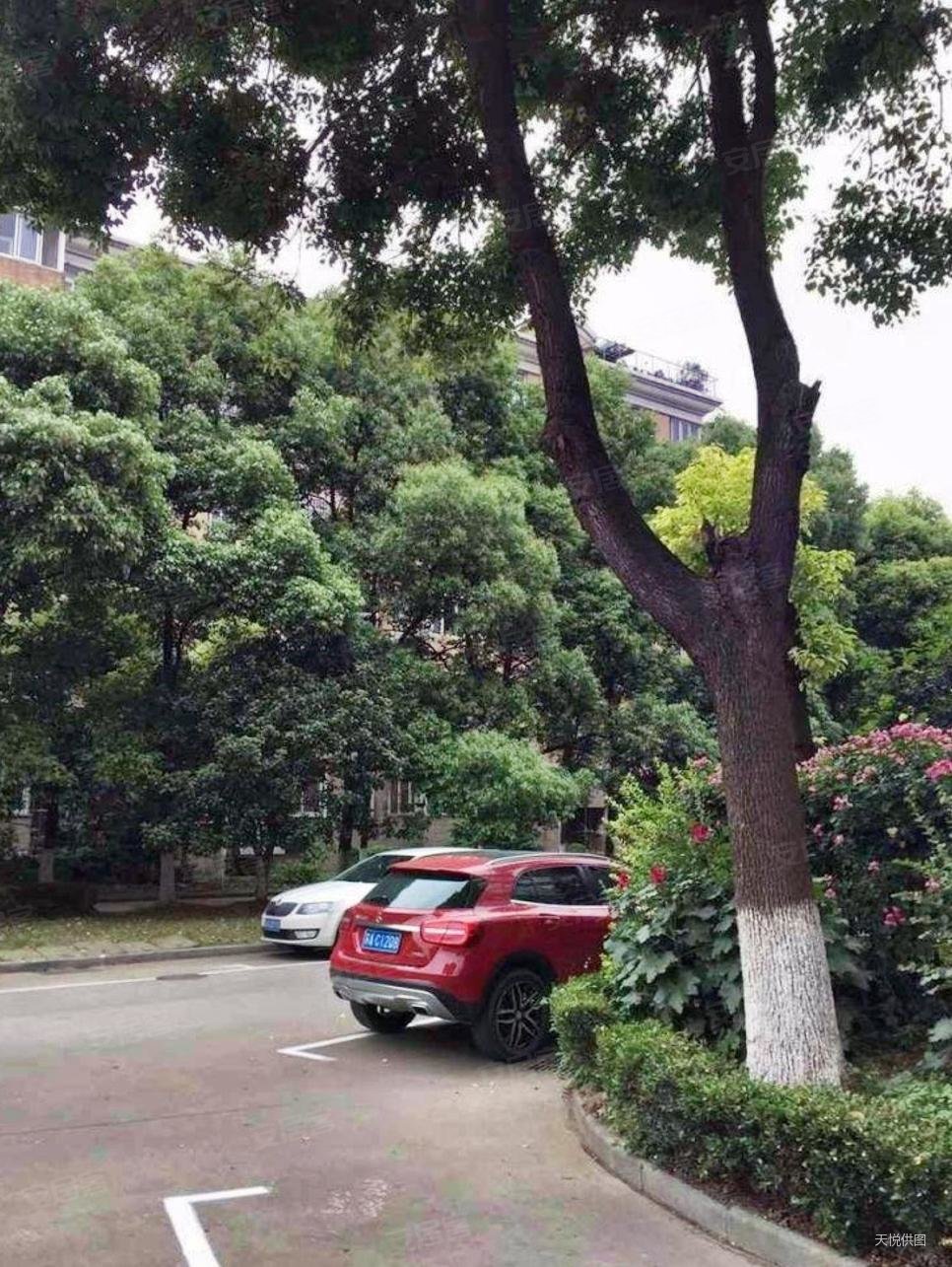 武夷花园简装3房楼间距大周边配套成熟采光好换房急售