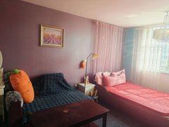 嘉峪关新华东方百盛广汇电梯小公寓一室一厅一卫55平1200元家具家电齐全拎包入出租房源真实图片