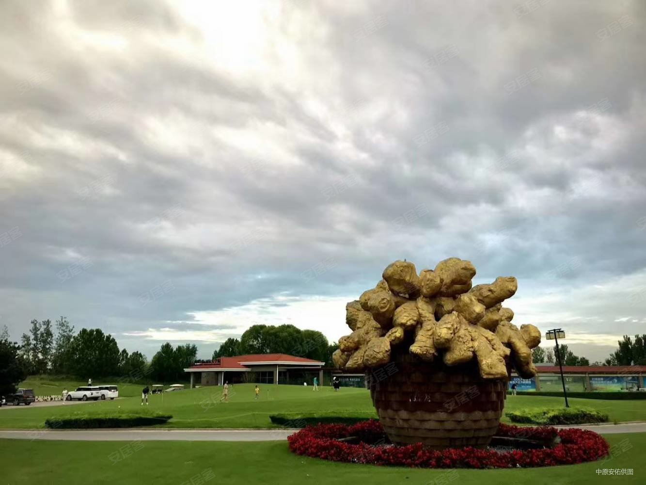 思念果岭悦庄南北通透双卫生间电梯洋房一梯两户