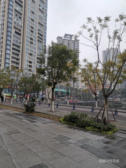 临近公园轻轨站 万象汇商圈里 华润凤凰城清水三房双卫急售,华润凤凰