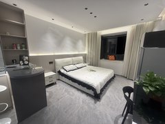 苏州吴中郭巷尹东四期精装大主卧 进药明康德 科沃斯机器人天运广场保税区出租房源真实图片